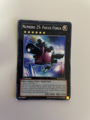 Numero focus forza - 25,